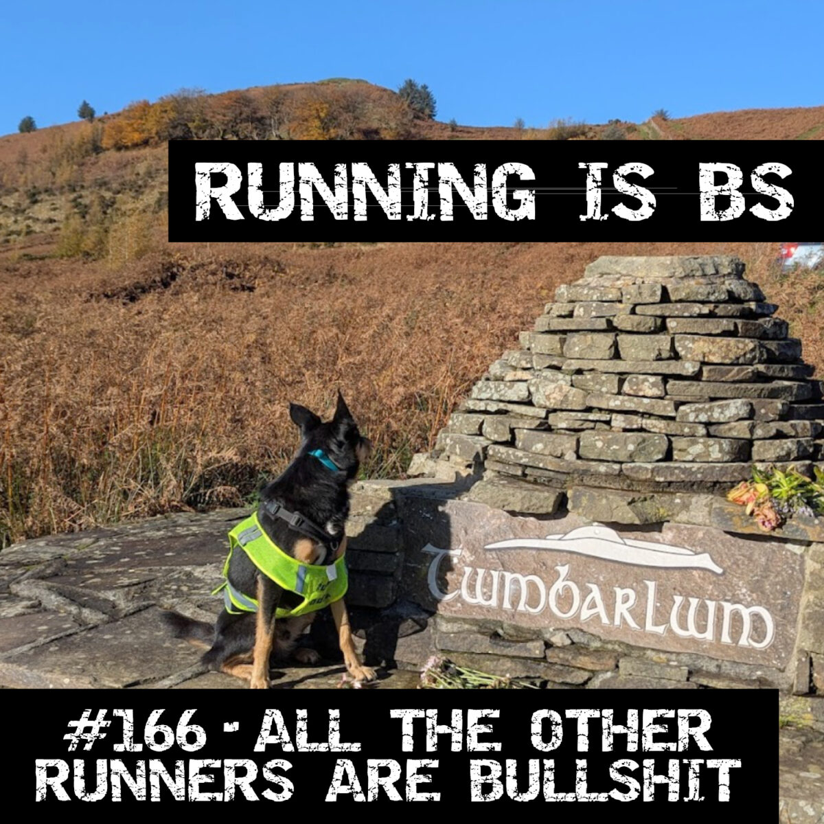 #166 – All the Other Runners are Bullshit